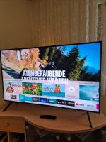 Samsung Fernseher Q60 49 Zoll Bayern - Niederalteich Vorschau