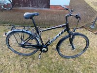 Fahrrad 28 Zoll Brandenburg - Treuenbrietzen Vorschau