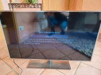 Samsung TV 48 Zoll Niedersachsen - Löningen Vorschau