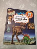 Buch Kinderbuch Kinderwissen Dinosaurier und Vorgeschichte Sachsen-Anhalt - Eilsleben Vorschau