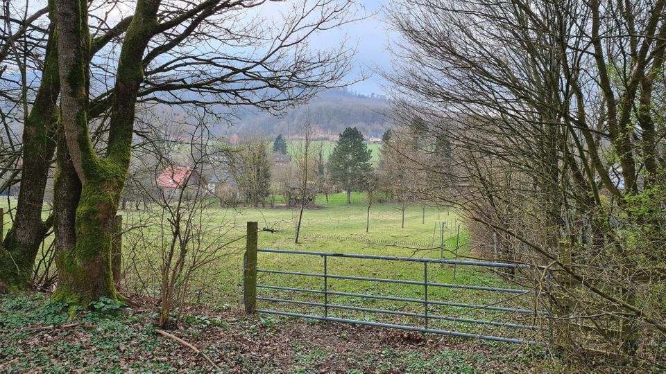 Grundstück in herrlicher Hanglage in Leopoldstal in Horn-Bad Meinberg