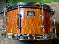 ludwig universal beech snare 14x6.5 Baden-Württemberg - Weil am Rhein Vorschau