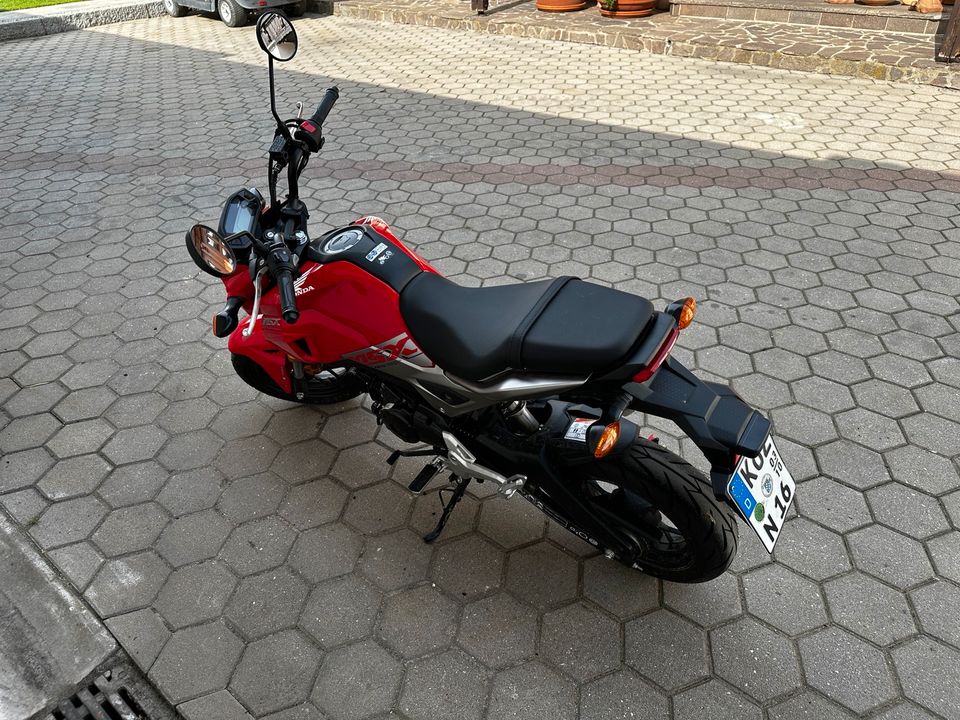 Honda Msx 125 SF Neuzustand 1590Km in Eschlkam