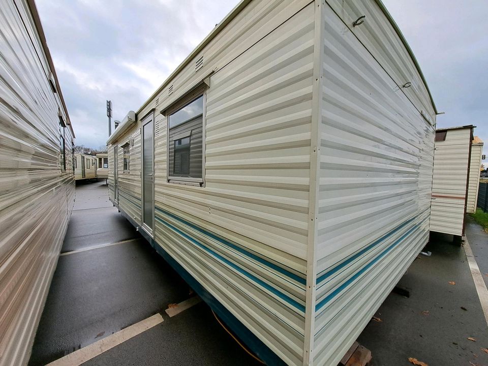 Willerby Herald 9.00 x 3,70 m Aktion kostenloses Elektrofahrrad!!!! in Salzbergen