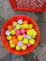 Golfbälle Lakeballs Farbig guter Zustand Bayern - Bernau am Chiemsee Vorschau