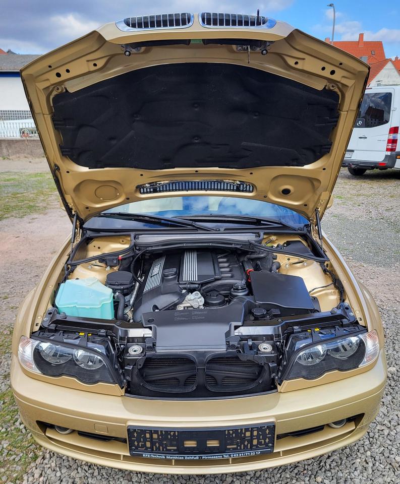 BMW 320ci Cabriolet mit Hartdtop Sammlerfahrzeug Festpreis! in Pirmasens