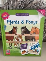 Wir wissen was ! Pferde &Ponys  Neu Schleswig-Holstein - Bordesholm Vorschau