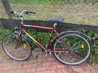 Herren Fahrrad Blumenthal - Farge Vorschau