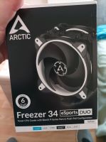 Arctic Freezer 34 E-Sports Duo Dortmund - Wambel Vorschau