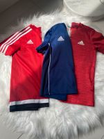 Sportshirt, Adidas, Dryfit Bayern - Heßdorf Vorschau