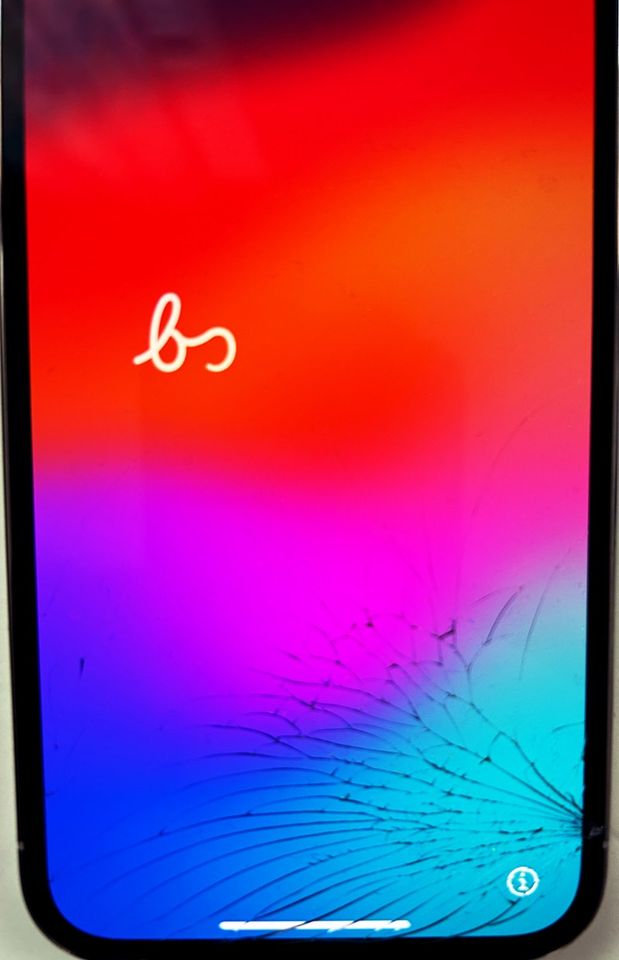 Apple iPhone 13 Pro Silber 256 GB Glas gebrochen zzgl Zubehör OVP in Kinderbeuern