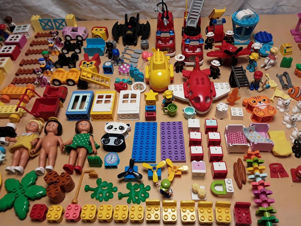 Lego Duplo Konvolut in Tuningen