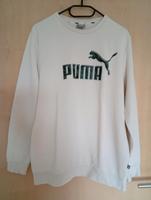 PUMA  Sweatshirt Gr.M Nordrhein-Westfalen - Paderborn Vorschau