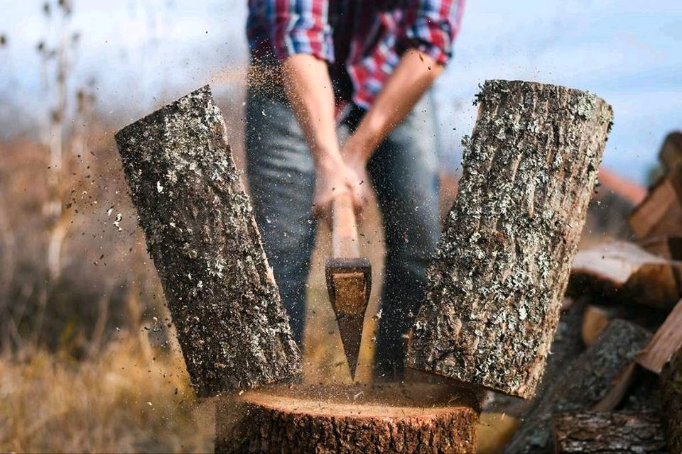 Brennholz für Selbstwerber, versch. Baumarten in Güstrow