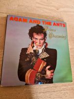 LP ---Adam and the Ants Bayern - Kemnath Vorschau