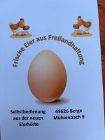 Frische Eier zu verkaufen Niedersachsen - Berge Vorschau