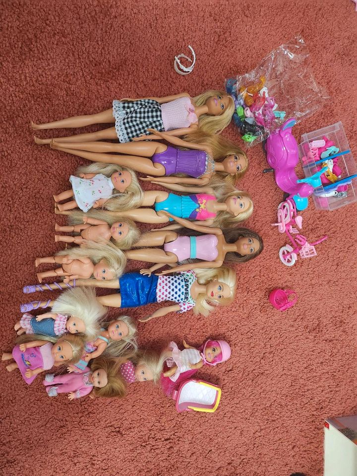 Barbies und viel zubehör in Salzhemmendorf