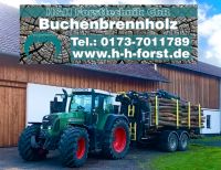 Brennholz  Holztransport  Scheitholz Nordrhein-Westfalen - Warburg Vorschau