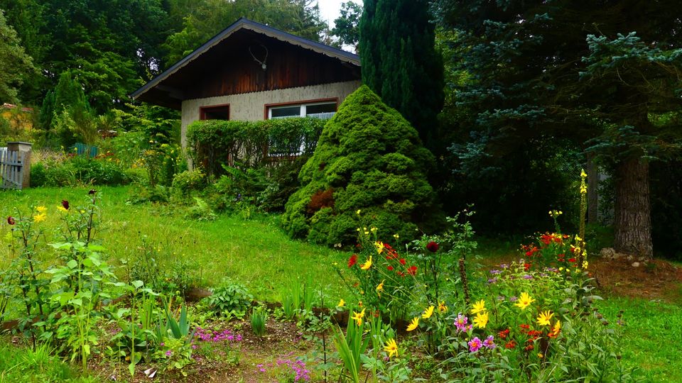 Schrebergartenparzelle in Kleingartenanlage Ruhla OT Thal in Eisenach