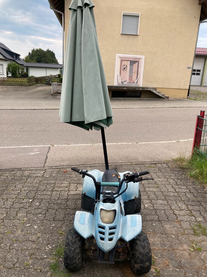 Quad sonnenschirmständer Deko in Kißlegg