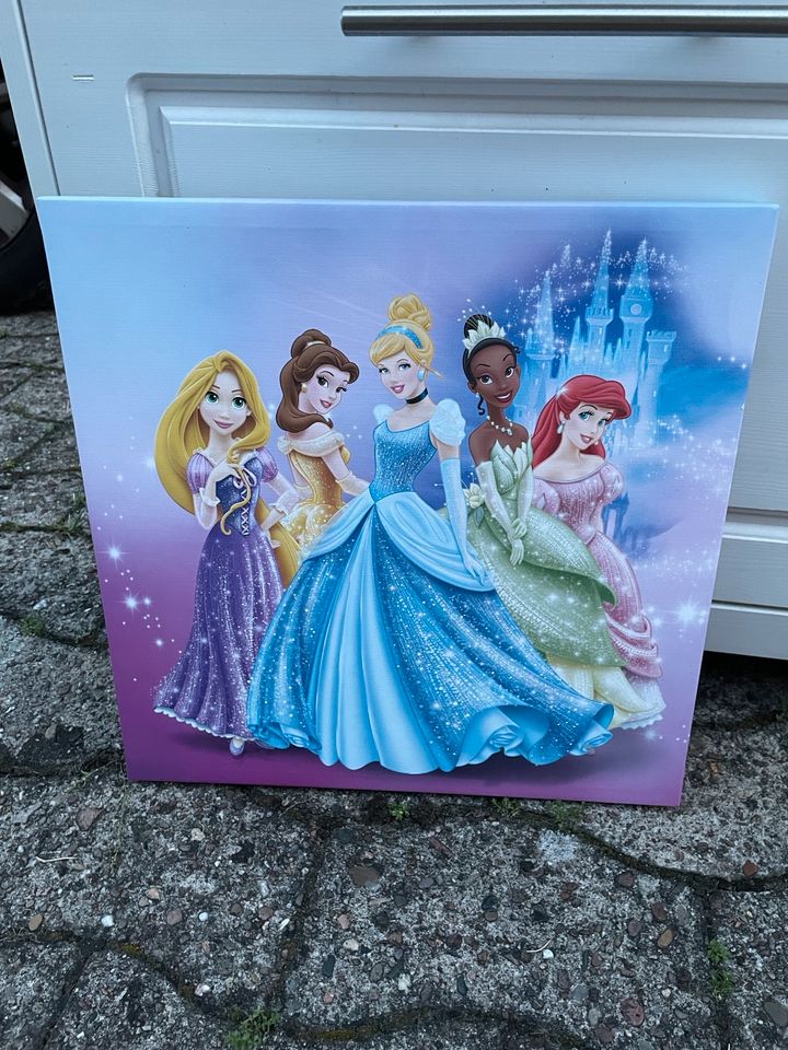 Disney Bild 5 Prinzessin Leinwand Kinderzimmer Mädchen Holz rosa in Bielefeld