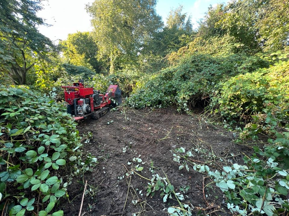 Baumwurzel entfernen, Stubbenfräsen, Baufeldrodung, Rodung in Langwedel