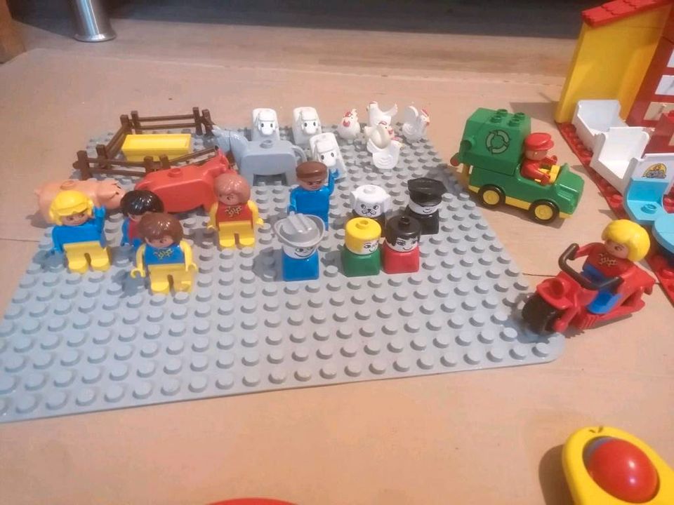 Lego Duplo Haus Tiere Möbel Zoo Müll Auto Figur  Spielzeug Steine in Roth