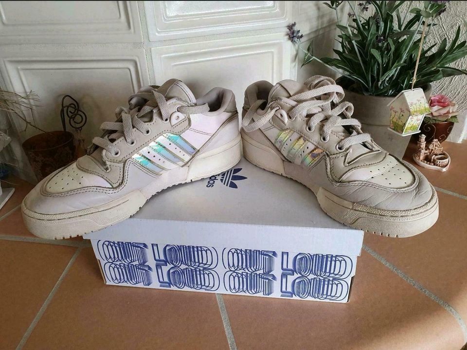 ❤Lieblingsschuh❤ adidas Rivalry Low in Hodenhagen