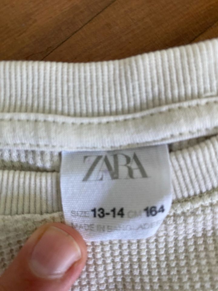 Set v ZARA, 2 Shorts, cropped Shirt, Gr 164, lässig, Sommer in Essen