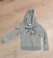 146 152 H&M Kapuzenpulli Pullover hoodie Thüringen - Triptis Vorschau