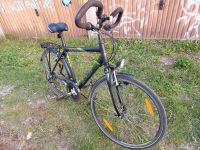 Herren Fahrrad 28 er zoll Thüringen - Artern/Unstrut Vorschau