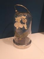 Glasglocke Deko  mit Blume Orchidee Rheinland-Pfalz - Bobenheim-Roxheim Vorschau