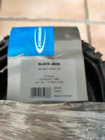 Schwalbe Black Jack 2.10x24 Zoll Baden-Württemberg - Veringenstadt Vorschau