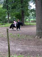 geführtes Reiten-Umgang mit dem Pony/ Reittherapie/ Niedersachsen - Warmsen Vorschau