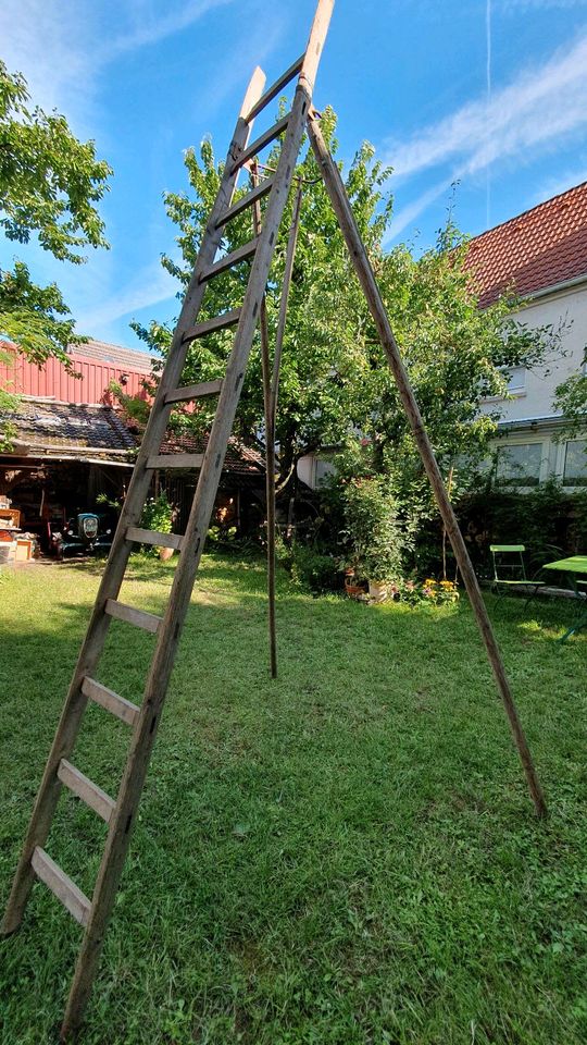 Ernte Leiter Holz 12 Sprossen 3,4m deko Garten Tippi in Großostheim