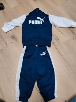 Puma Jogginganzug Trainingsanzug Gr 74 Bayern - Adelschlag Vorschau