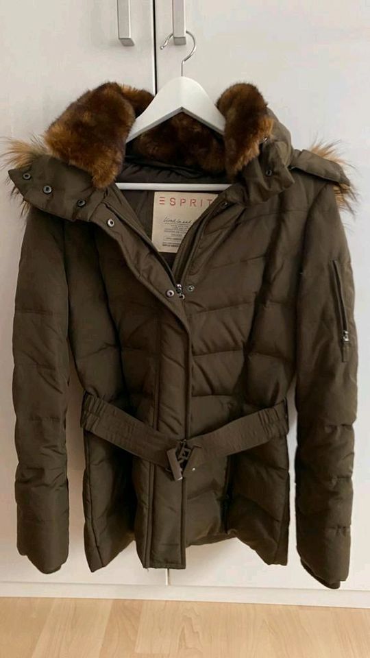 Esprit Damen Winterjacke in Köln