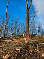 Dienstleistungen rund um Forst und Garten Hessen - Reichelsheim (Odenwald) Vorschau