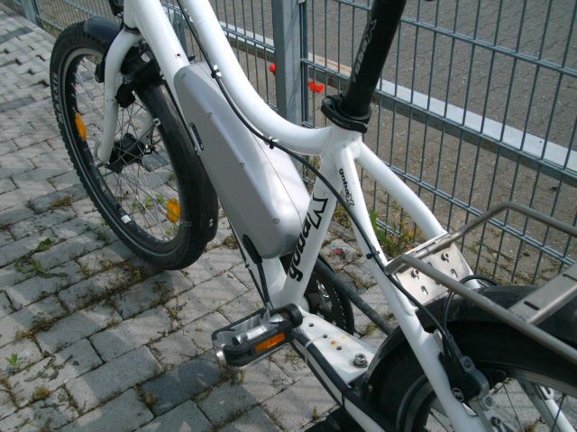 Mehrere Gobax Lastenrad Goswiss Pedelec regelmässig gewartet in Frankenthal (Pfalz)