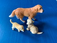 Schleich Golden Retriever 16342, 16396 und 16377, Hundefamilie Leipzig - Knautkleeberg-Knauthain Vorschau