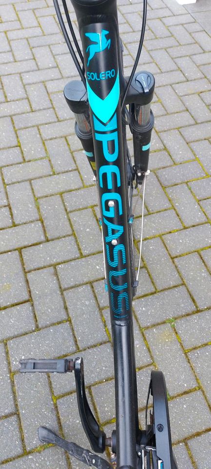 Fahrrad Pegasus zu verkaufen in Nordhorn