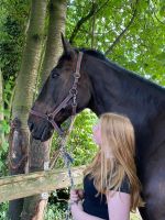 Reitbeteiligung (Reiter sucht Pferd) Niedersachsen - Zetel Vorschau