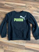 Puma Sweatshirt 164 Dortmund - Schüren Vorschau
