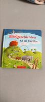 Der kleine Himmelsbote: Bibelgeschichten für die Kleinsten Hessen - Eppertshausen Vorschau