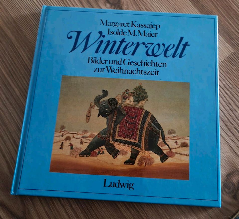Ich verkaufe das Winterwelt Buch in Saterland