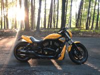 Harley Davidson Night Rod Special Black‘n‘Yellow 260er Thundermax Sachsen-Anhalt - Aken Vorschau