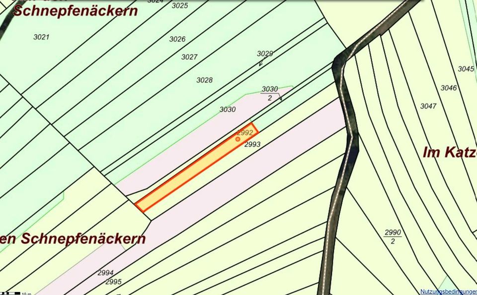 Wiese, landwirtschaftliche Fläche, Freizeitgrundstück in Silz