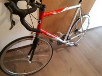 Red bull  pro sl ultegra  57 cm Niedersachsen - Papenburg Vorschau