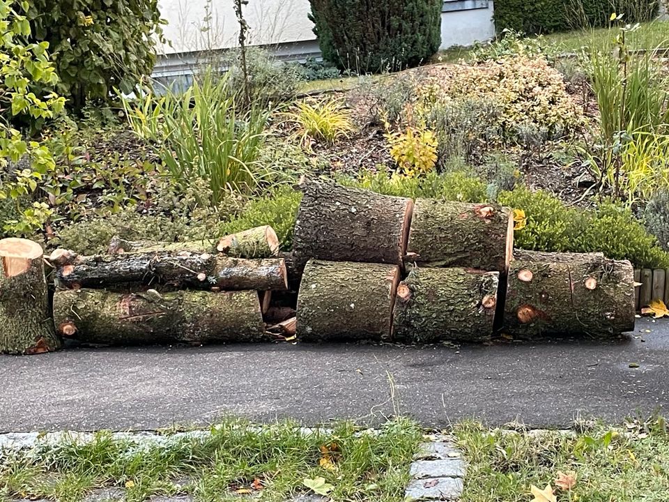 Baum Pflege / fällen , Baumstumpf fräsen , Hecken Entfernung in Oberkochen