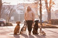 Hundetraining/Hundepsychologie Nordrhein-Westfalen - Hamm Vorschau